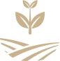 PrairieSun Power